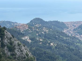 Tocht Stappen Castellar - Castellar : le Grand Mont - Photo