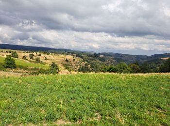 Tour Wandern Cubières - Cubière - Photo