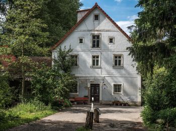 Percorso A piedi Pommersfelden - Weihererweg Pommersfelden - Photo