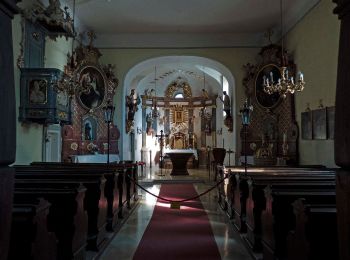 Excursión A pie Gemeinde Kaltenleutgeben - Kaltenleutgeben - Sulz - Wöglerin - Hochroterd - Photo