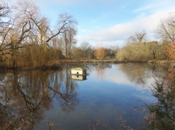 Trail On foot  - Risborough Red Route - Photo