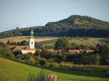 Trail On foot Felsőpetény - Reformáció Emlékút 1 (Egyházasdengeleg - Nógrád) - Photo