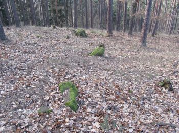 Percorso A piedi Holedeč - NS Holedeč u Žatce - Photo