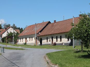 Percorso A piedi Bobrová - NS Okolím Bobrové (červená) - Photo