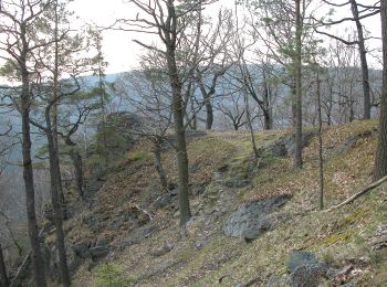 Randonnée A pied Schwarzburg - Naturlehrpfad Heinrich Cotta - Photo