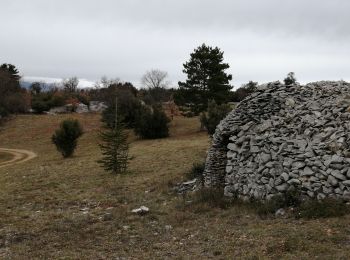 Excursión Senderismo Villes-sur-Auzon - villes sur auzon - Photo