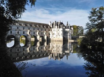 Randonnée Marche Civray-de-Touraine - Civray-de-Touraine - la Canardière - Château de Chenonceau - 8km 60m 1h40 - 2018 10 13 - Photo