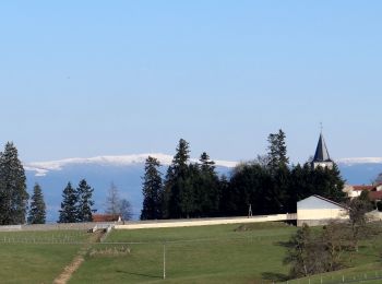 Tocht Stappen Trézioux - Trezioux_Lestre_2 - Photo