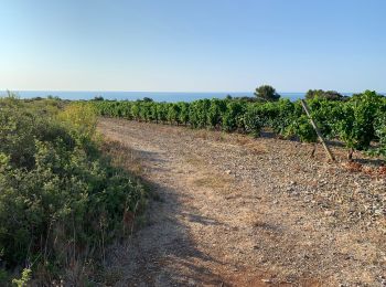 Tour Wandern Narbonne - 9 km rando Narbonne plage - Photo