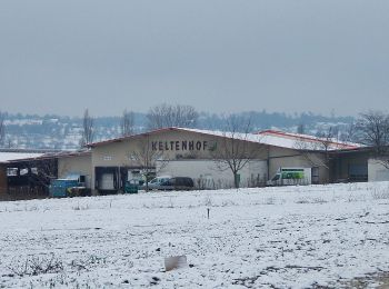 Tocht Te voet Filderstadt - Echterdingen - Bernhausen - Photo