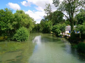 Randonnée Marche Esvres - Esvres-sur-Indre - Circuit 1 - 16.4km 120m 3h35 - 2020 06 12 - Photo