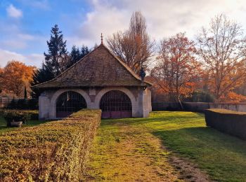 Percorso Marcia Saint-Maurice-Montcouronne - Boucle St Maurice Montcouronne - Brigitte - Photo