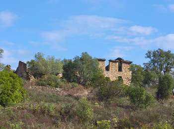 Trail Walking Roquebrune-sur-Argens - Randonnée le pic de la bourette - Photo