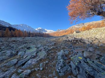 Randonnée Marche Saint-Dalmas-le-Selvage - Tête de la Clape - Photo