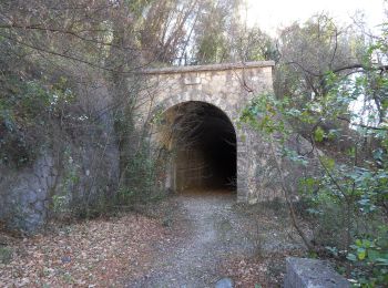 Tocht Te voet Cipières - Traversée de l'Estéron - Etape 1 - Photo