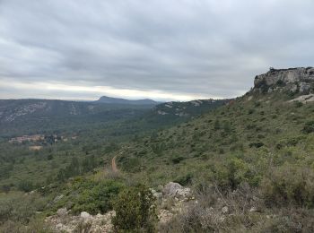 Excursión Senderismo Coustouge - Coustouge Fontjoncouge  - Photo