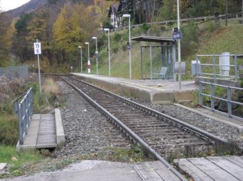 Randonnée A pied Gemeinde Waldegg - Wasserfallweg - Photo