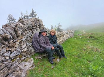 Excursión Senderismo Les Rousses - la dole - Photo