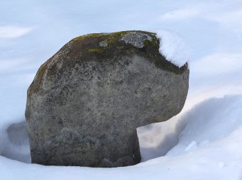 Randonnée A pied Schalkau - Pankrazweg - Photo