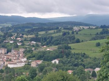 Tour Wandern Chausseterre - retour TOP 03 - Photo