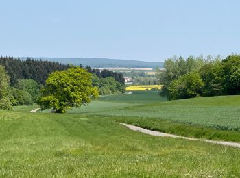 Tour Wandern Ormoy-le-Davien - 030422 - Direction Vaucienne puis Vaumoise et Cave du diable - Photo