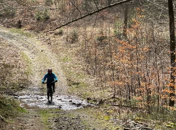 Randonnée V.T.T. Manhay - 20210418 Moulin de Lafosse - Dochamps - Photo