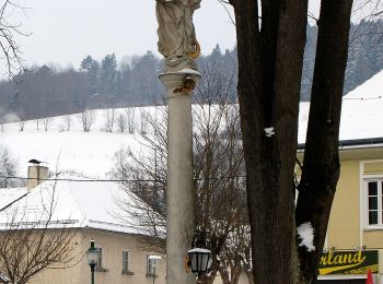 Randonnée A pied Feistritz am Wechsel - Thurnhof - Geieregg/Sellhof - Wieden - St. Corona - Photo