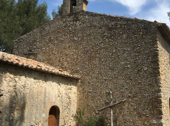 Trail Walking Jouques - Jouques tour des chapelles - Photo