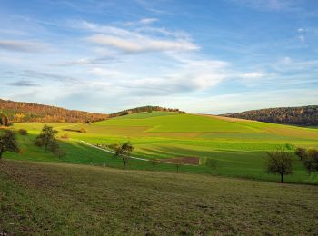 Tocht Te voet  - Rundwanderweg Neunkirchen 1: Krähenrain-Weg - Photo