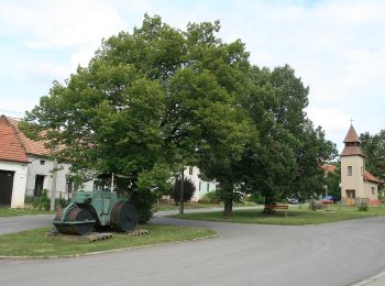 Trail On foot Ždánice - [Ž] Černčín - Bučovice - Photo