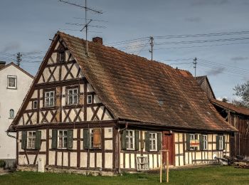 Tocht Te voet Zapfendorf - Mühlenweg - Photo