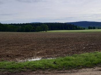 Tocht Stappen Saint-Étienne-du-Bois - Meillonnas, Jasseron - Photo