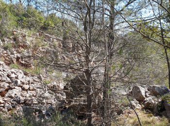 Randonnée Marche La Celle - Les mines de bauxite de la Celle - Photo