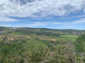 Trail Walking Auxey-Duresses - Camp des Celtes et sentier des Cabottes - Photo