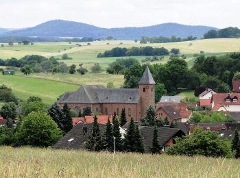 Excursión A pie Geiselbach - Roter Schmetterling, Rundwanderweg Geiselbach - Photo