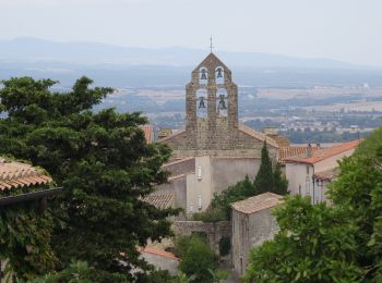 Excursión A pie Avignonet-Lauragais - Les Collines du Vent - Photo