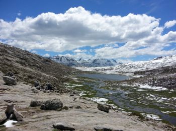 Tour Wandern Albertacce - 01/06/2013 9:25lac Nino - Photo