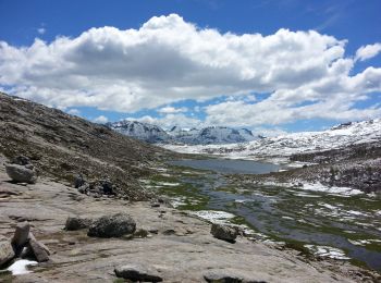 Randonnée Marche Albertacce - Albertacce - de la maison forestière de Popaghia au Lac de Nino - AR - 10.5km 690m 6h15 (0h35) - 2013 06 01 - Photo