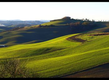 Randonnée A pied Pienza - Miniera - Photo