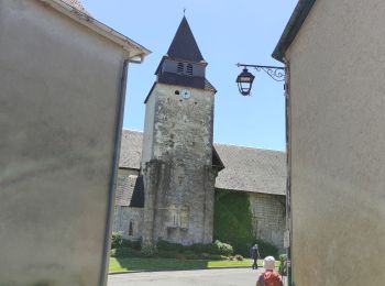 Tocht Stappen Artiguelouve - ARTIGUELOUVE LA COMMANDE GR653 G4 - Photo