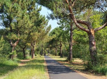 Tocht Hybride fiets Biscarrosse - Biscarrosse - Les petits étangs - Photo