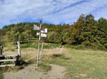 Randonnée Marche Goldbach-Altenbach - Firstacker Glasshütte - Photo