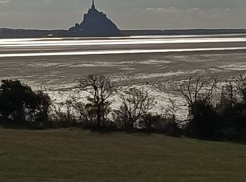 Randonnée Marche Vains - pointe du grouin du sud - Photo