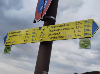 Percorso A piedi Sasbachwalden - Augenblickrunde Sasbachwalden Hörchenberg - Photo