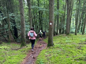 Trail Nordic walking Habscht - Septfontaines - Photo