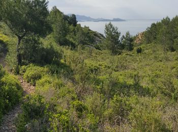 Tour Pfad Ensuès-la-Redonne - cote bleue - Photo