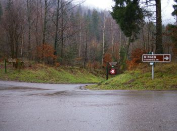 Tocht Te voet Wingen - Rotes Kreuz Nothweiler - Lembach - Photo