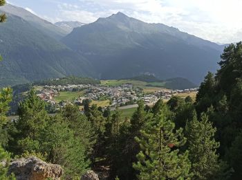 Randonnée Marche Aussois - 2021-07-24 Boucle Ruisseau St Pierre - Photo