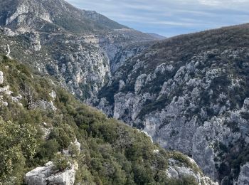 Tour Wandern La Palud-sur-Verdon - Bastidon la palud - Photo