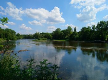 Tour Wandern Berthenay - Berthenay - Sentier des deux Eaux - 16.3km 65m 4h00 - 2022 05 08 - Photo